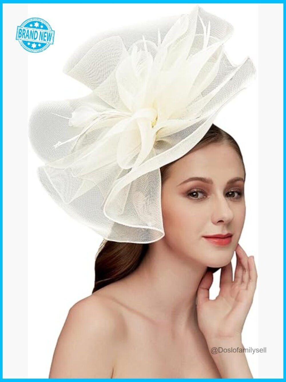 Fascinators Hat Tea Party Wedding Cocktail Flower Mesh Feathers Hair Clip